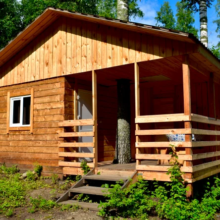 кедровый домик